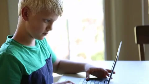 Student using laptop computer for remote education Vídeos de archivo 137113453