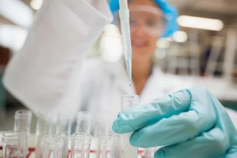 Student using pipette holding test tube Fotos Stock