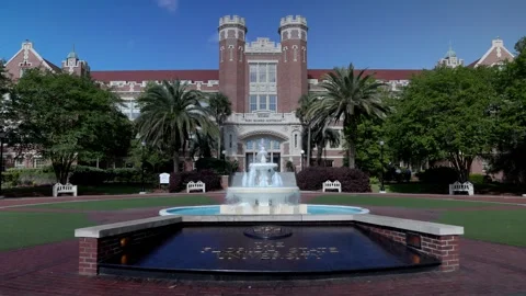 A student walking on the camopus of Florida State University in front of Stock Footage 307602733