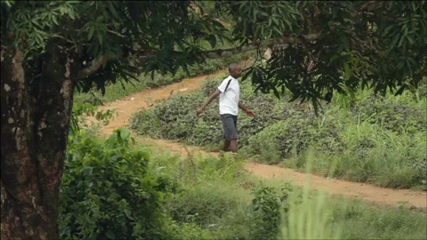 Student walking to school in the bush Stock Footage 111037229