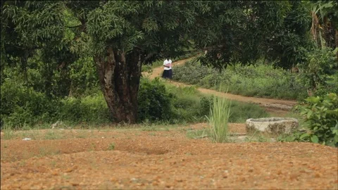 Student walking to school Stock Footage 111037176