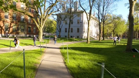 Student Walking through Harvard Yard, Looking at Other People Walking and Stock Footage 199383477