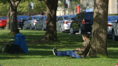 Student working on laptop outdoors Stock Footage 44267150