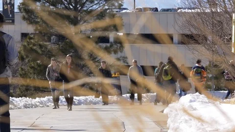 Students and faculty walk in slow motion on the University campus in winter. Stock Footage 100000577