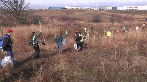 Students and people planting trees in the spring to help the environment. Stock Footage 37358053
