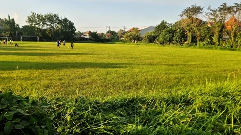 Students and Young Athletes Learning Sports and Physical Fitness Together Stock Footage 333466444