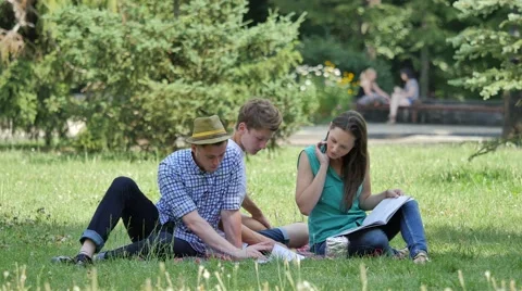 Students Are Sitting on a Lawn Reading Studying Young People Girl Boys Stock Footage 64812834