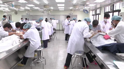 Students from Asia learn forensics Stock Footage 60667103
