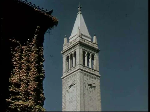 Students attend various classes at the University of California, as seen in this Stock-Footage 74977034