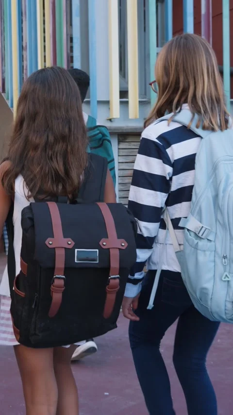 Students with backpacks walking to school Stock Footage 345113724