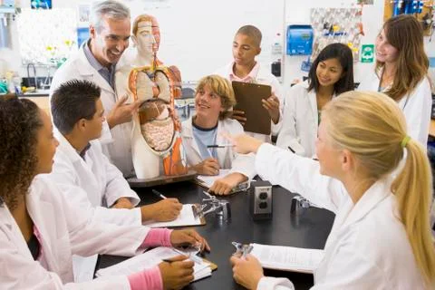 Students in biology class with teacher Stock Photos