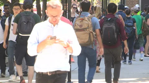 Students on campus Stock Footage 67563149