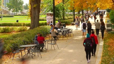 Students on Campus Under Canopy of Fall Trees Stock Footage 56711919