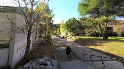 Students Capmus Stairs Timelapse Stock Footage 83036534