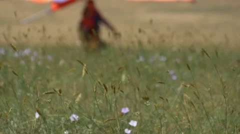 Students carry a hang glider Stock Footage 64595232