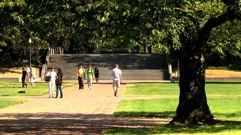 Students on college campus Stock Footage 8636176