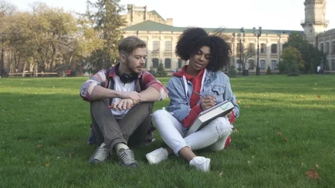 Students Couple Preparing for Exam Together At College Campus Stock Footage 99309816
