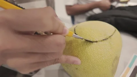 Students Creating Pomelo Carvings for Mid-Autumn Festival Celebration in Taiw Stock Footage 341109069