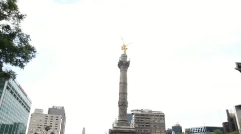 Students demonstration Stock-Footage 11114124