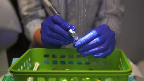 Students of dentists learn to fill the root canals of artificial teeth Video stock 124324554