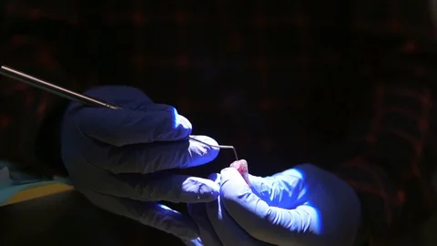 Students of dentists learn to fill the root canals of artificial teeth. Stmatlog Stock Footage 124324574