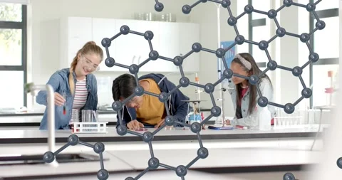 Students doing chemistry test, reaching tube rack and examining solution as 3D Stock Footage 317592270