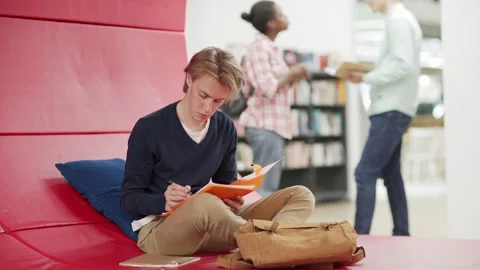 Students doing homework in lounge area Stock Footage 142551396