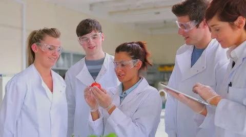 Students doing plant and vegetables research with tablet computer Stock Footage 12761213