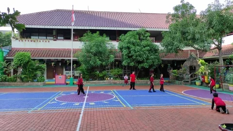 Students during sport class Stock Footage 262626107