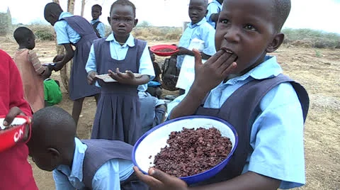 Students Eat Stock Footage 23090251