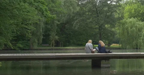 Students Engaged in Study on a Nature Stock Footage 51714952