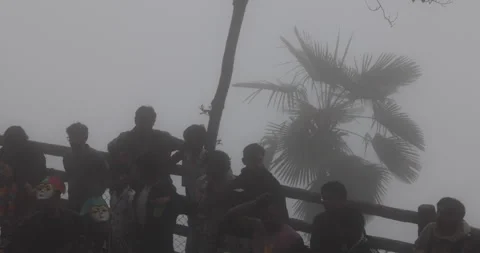 Students enjoy group in fog at a scenic hill station resort 库存影片 340267039