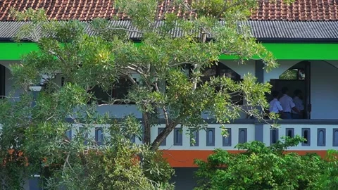 Students Entering Classroom at Green School Campus with Tree Foreground Vídeos de archivo 333183705