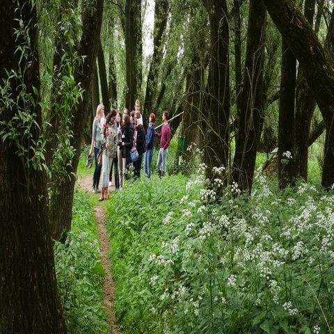 Students in the forest during an excursion Stock Footage 69459105