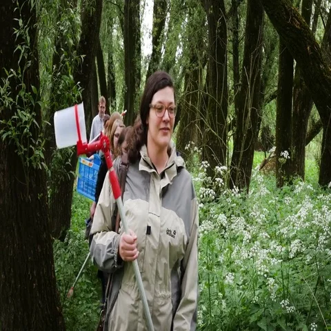 Students in the forest during an excursion Stock Footage 69459993
