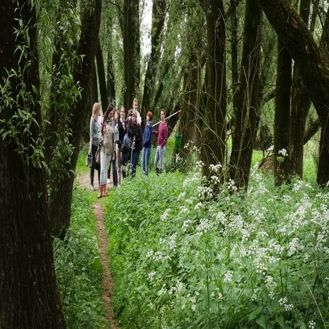 Students in the forest during an excursion Vídeo Stock 69461272