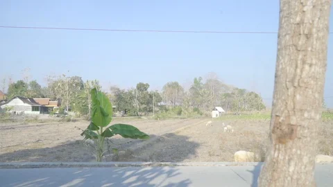 Students Go to school Stock Footage 119560220