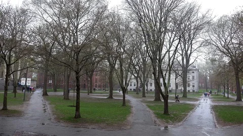 Students at the Harvard Yard center (Tercentenary Theatre) under rain. Stock Footage 120442335