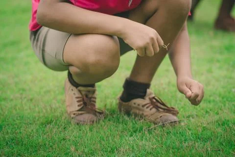 Students help to pull out the take-advantage weeds.and keep dry Stock Photos