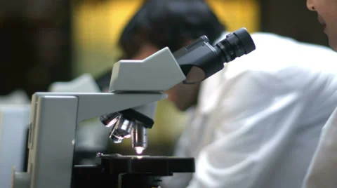 Students in a lab look through a microscope during their experiments Stock Footage 33880534