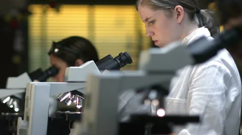 Students in a laboratory look through a microscope during their experiments Stock Footage 33880381