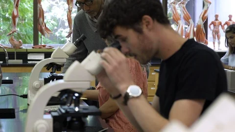 Students in laboratory using microscope. 動画素材 88015590