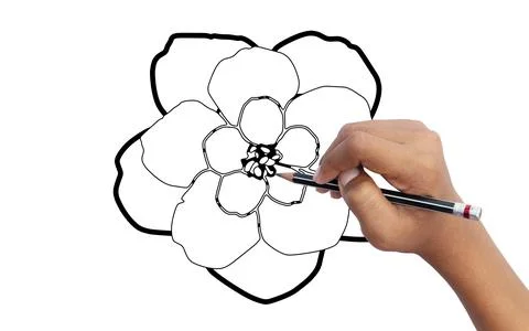 Students learn to draw flowers. Stock Photos