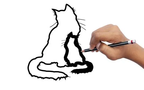 Students learn to drawing cats. Stock Photos