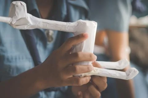 Students learn to make paper mache art as a giraffe in school. Stock Photos