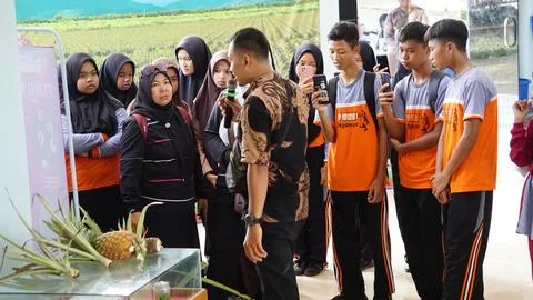Students learn pineapple seeding and planting Stock Photos