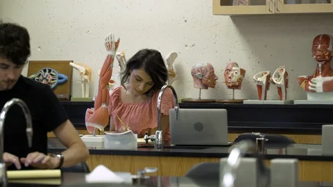 Students learning about anatomical model. Stock Footage 88014271