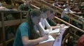 Students at a lecture in the classroom. HD Footage