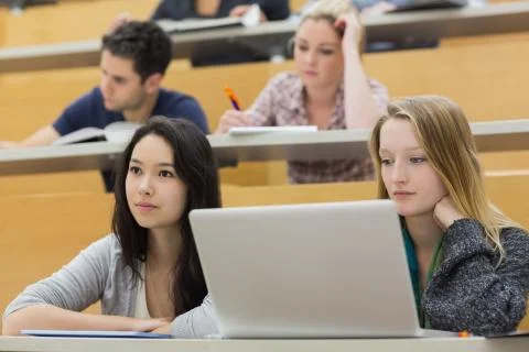 Students in a lecture hall using a laptop Stock Photos