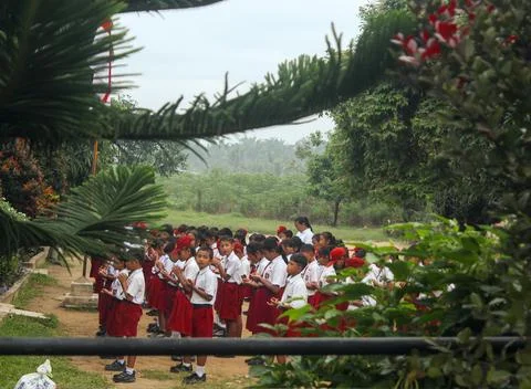 Students line up in front of the school Stock Photos